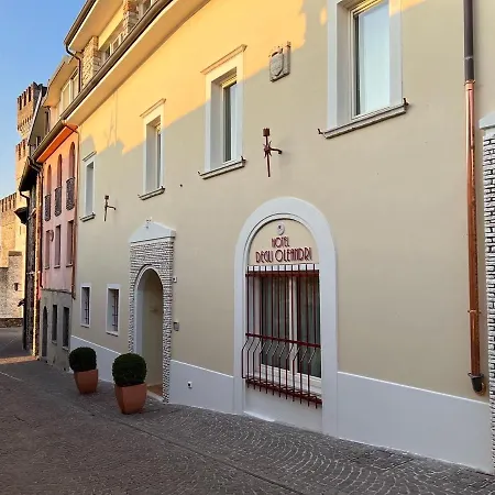 Hotel Degli Oleandri 3*